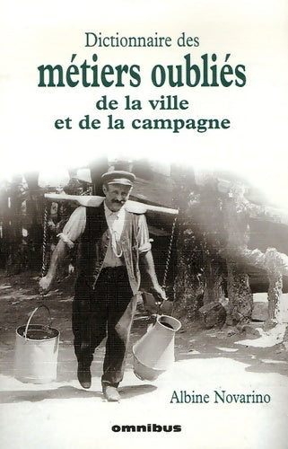 Livrenpoche : DICT métiers OUBLIES VILLES ET - Albine Novarino - Livre