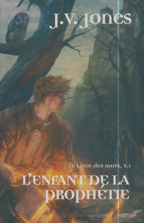 Livrenpoche : Le livre des mots Tome I : L'enfant de la prophétie - J.V Jones - Livre