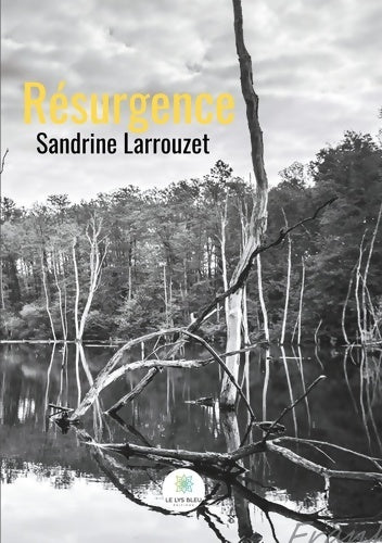 Livrenpoche : Résurgence - Sandrine Larrouzet - Livre