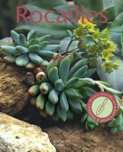Livrenpoche : Rocailles : Pour réaliser chez soi un paysage naturel miniature - Almuth Scholz - Livre