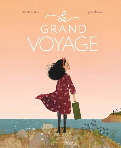 Livrenpoche : LE GRAND VOYAGE - Camille Andros - Livre