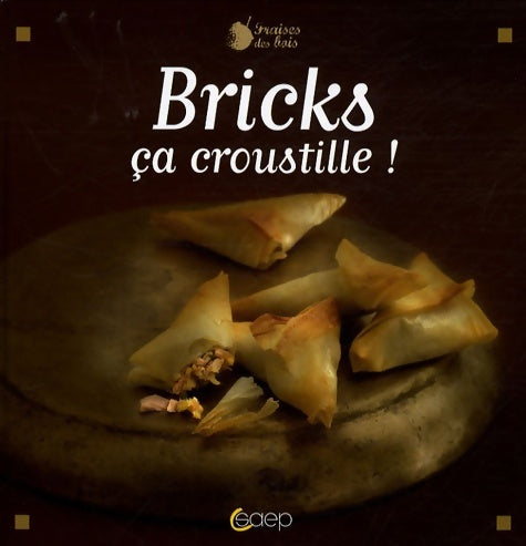 Livrenpoche : Bricks ça croustille ! - Leïla Oufkir - Livre