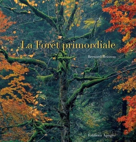 Livrenpoche : La forêt primordiale - Bernard Boisson - Livre