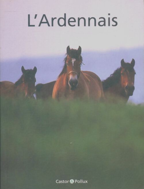 Livrenpoche : L'Ardennais - Franz Bartelt - Livre