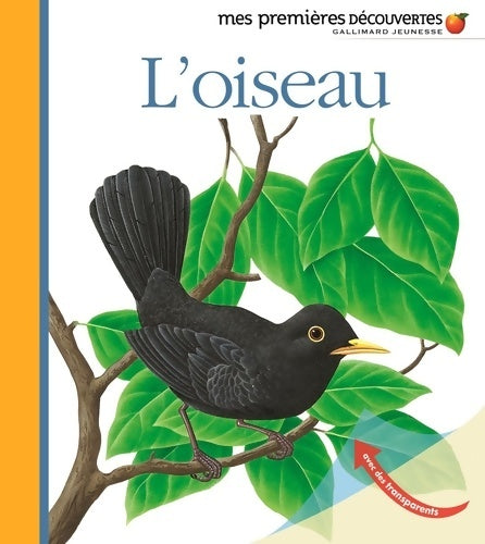 Livrenpoche : L'oiseau - Collectif - Livre