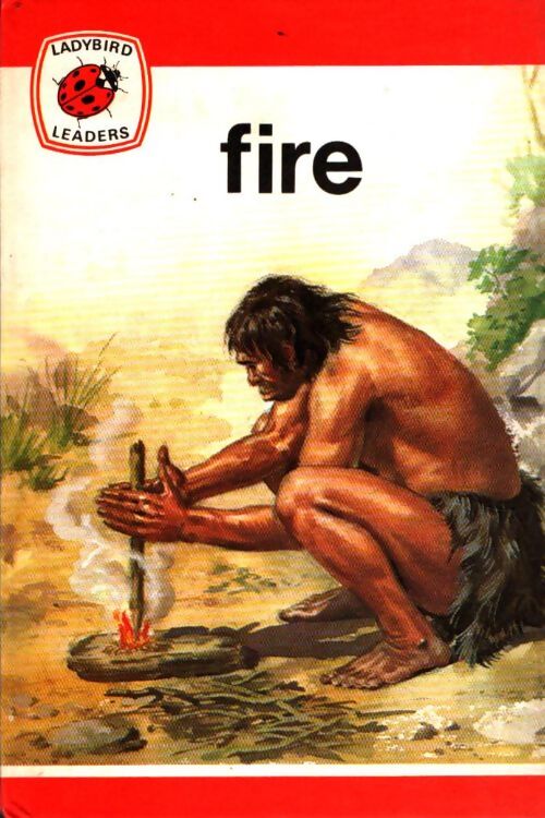 Livrenpoche : Fire - James Webster - Livre