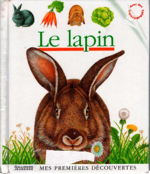 Le lapin - Collectifs Jeunesse - Livre