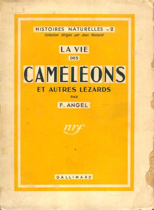 La vie des caméléons et autres lézards - F. Angel - Livre
