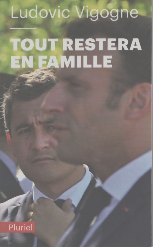 Tout restera en famille - Ludovic Vigogne - Livre