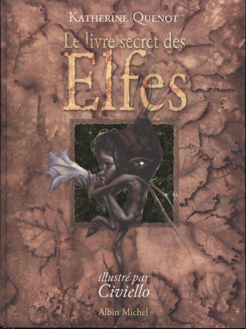 Le livre secret des elfes - Katherine Quenot - Livre