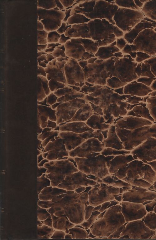 Lettres apostoliques de S.S. Léon XIII Tome III - Léon XIII - Livre