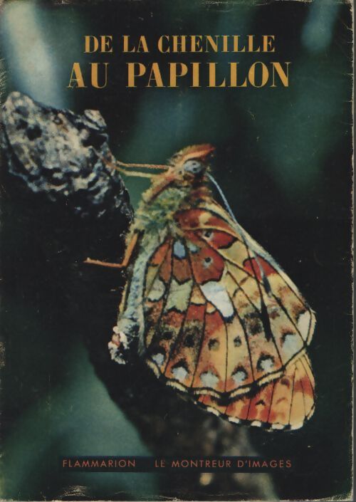 De la chenille au papillon - J.-P. Vanden Eeckhoudt - Livre