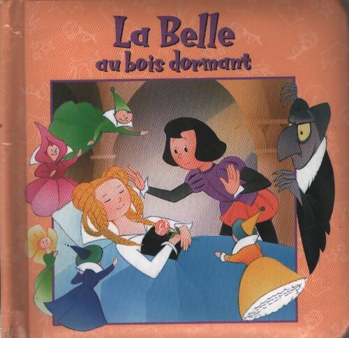 La belle au bois dormant - Van Gool - Livre