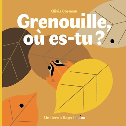 Grenouille où es-tu ? - Cosneau Olivia - Livre