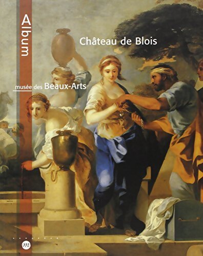 Musée des beaux-art : Château de blois - Thierry Crepin-leblond - Livre