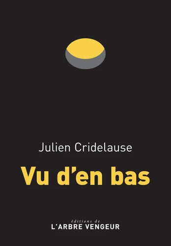Vu d'en bas - Julien Cridelause - Livre