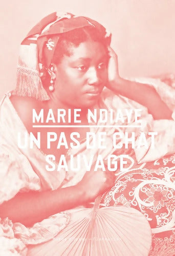 Un pas de chat sauvage - Marie Ndiaye - Livre
