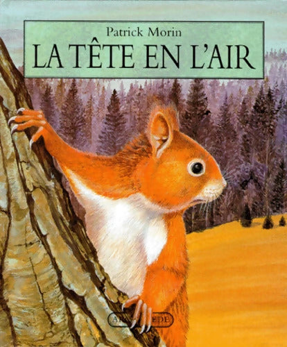 tête en l air - Patrick Morin - Livre