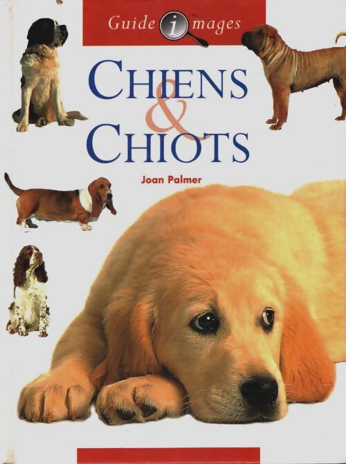 Chiens et chiots - Palmer Joan - Livre