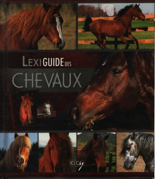 Lexiguide des chevaux - Florence Lecanu - Livre