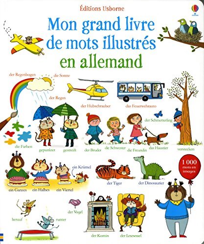 Mon grand livre de mots illustrés en allemand - Mairi Mackinnon - Livre
