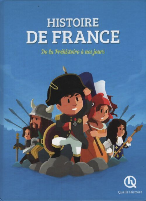Histoire de France : De la préhistoire à nos jours - Vincent Mottez - Livre