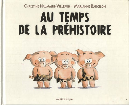 Au temps de la préhistoire - Christine Naumann-Villemin - Livre