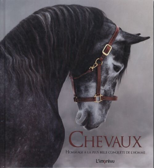 Chevaux - Hommage à la plus belle conquête de l'homme - Michel Viard - Livre