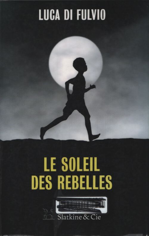 Le soleil des rebelles - Luca Di Fulvio - Livre