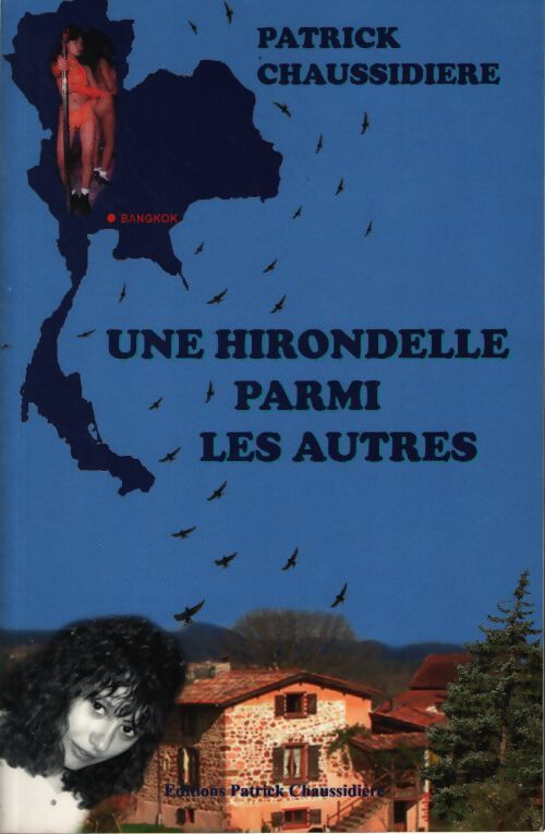 Une hirondelle parmi les autres - Chaussidière Patrick - Livre