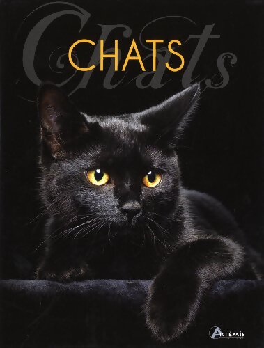 Chats - Emmanuelle Dal'Secco - Livre