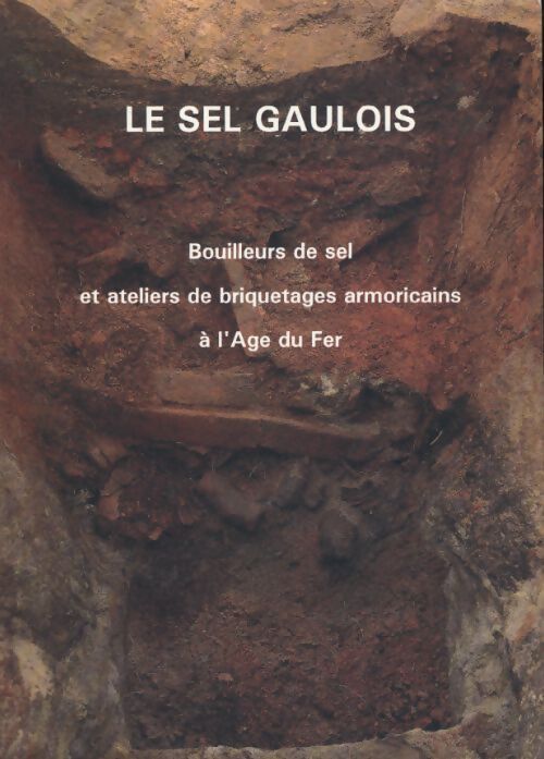 Le sel gaulois : Bouilleurs de sel et ateliers de briquetages armoricains à l'âge du fer - Marie-yvane Daire - Livre