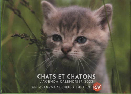 Agenda - calendrier chats et chatons 2023 - Collectif - Livre