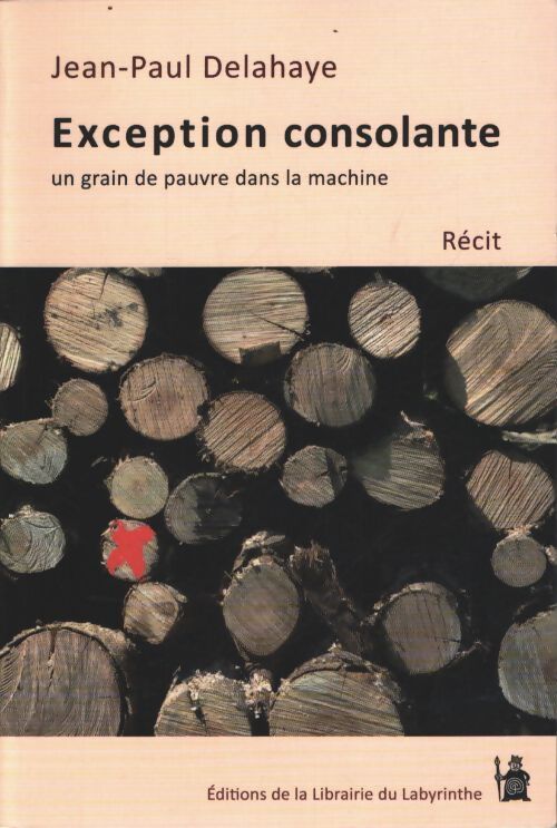 Exception consolante : Un grain de pauvre dans la machine - Jean-Paul Delahaye - Livre