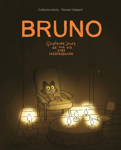 Bruno quelques jours de ma vie très interessante - Catharina Valckx - Livre
