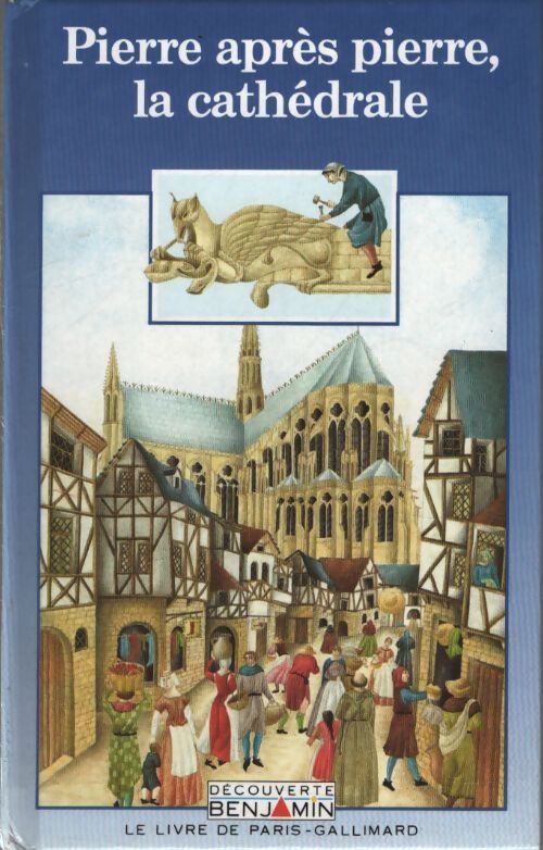 Pierre après pierre, la cathédrale - Brigitte Gandiol-Coppin - Livre