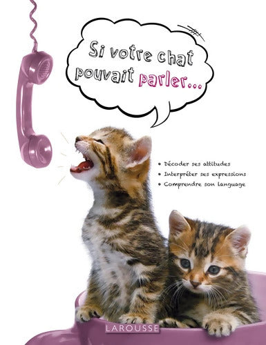 Si votre chat pouvait parler - Bruce Frogle - Livre
