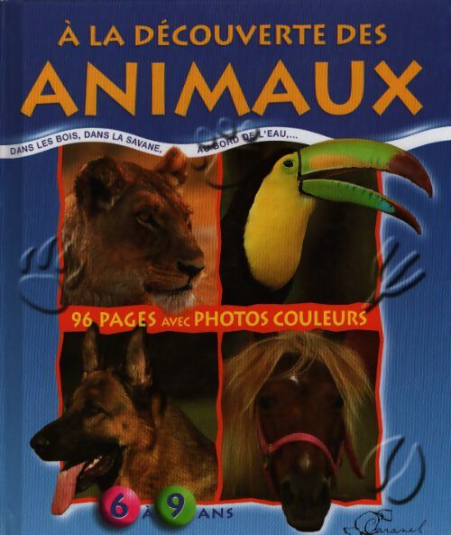 A la découverte des animaux - Y. Verbeek - Livre