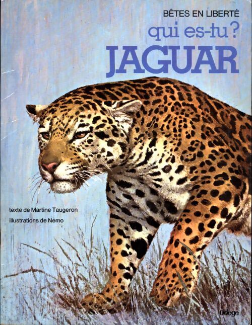 Qui es-tu ? jaguar - Martine Taugeron - Livre
