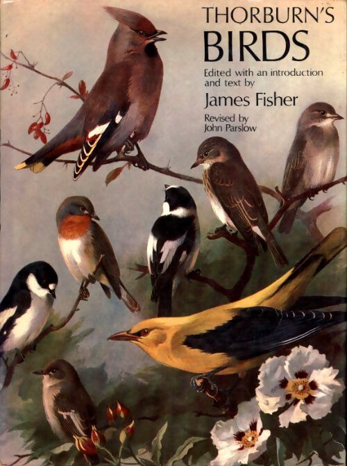 Thorburn's birds - Archibald Thorburn - Livre