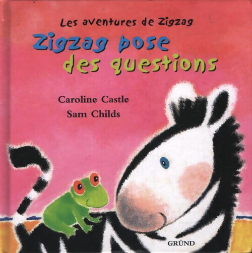 Zig zag pose des questions - S. Childs - Livre