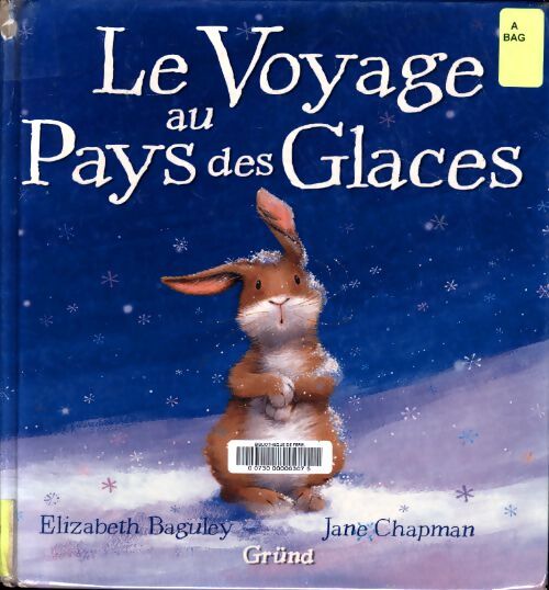 Voyage au pays des glaces - Elizabeth Baguley - Livre
