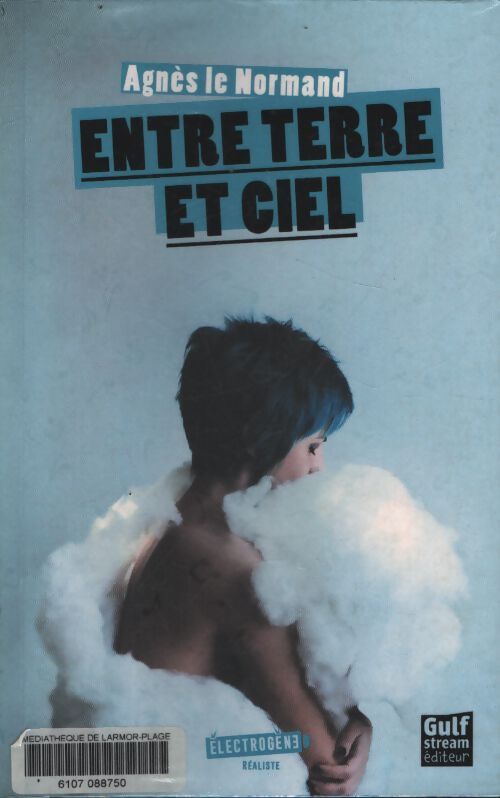 Entre terre et ciel - Agnès Le Normand - Livre