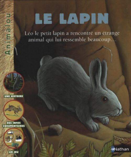 Le lapin - Safia Amor - Livre