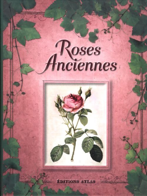 Roses anciennes - Nathalie Bucsek - Livre