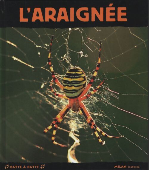 L'araignée : Petite fée de la soie - Anne Vallet - Livre