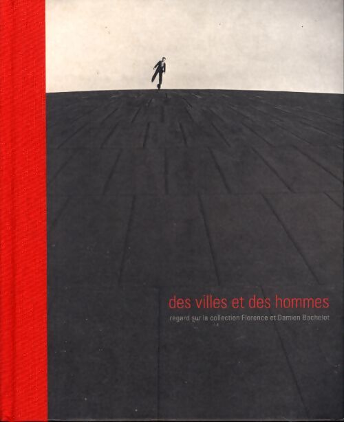Des villes et des hommes : Regard sur la collection florence et damien bachelot - Douglas Kennedy - Livre