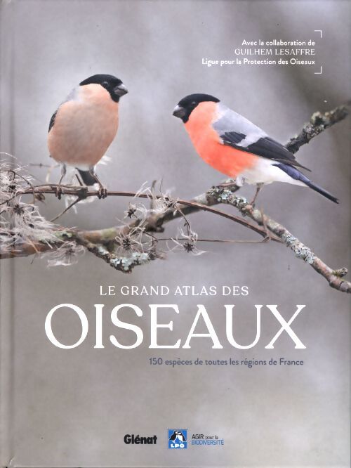 Le grand atlas des oiseaux : 150 oiseaux des régions de France - Collectif - Livre