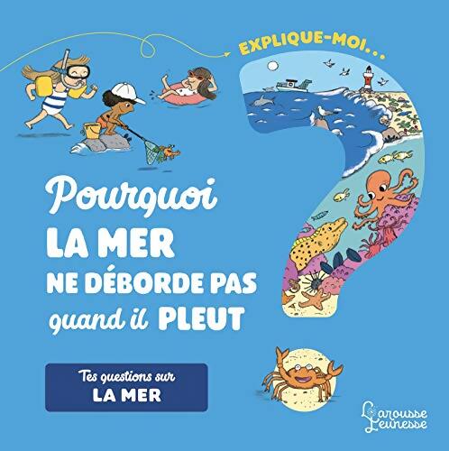 Pourquoi, la mer ne déborde pas quand il pleut - Emmanuelle Kecir Lepetit - Livre