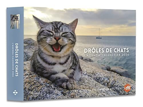Agenda - Calendrier Drôles de chats 2024 - Collectif - Livre